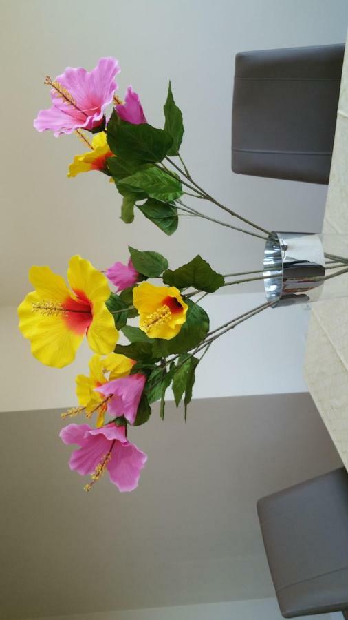 Ideal Familias Y Grupos Apartment Vigo