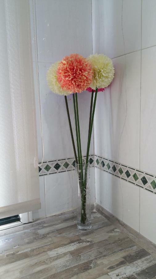 Ideal Familias Y Grupos Apartment Vigo